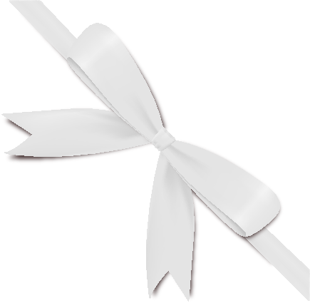 White Ribbon Bow Vector