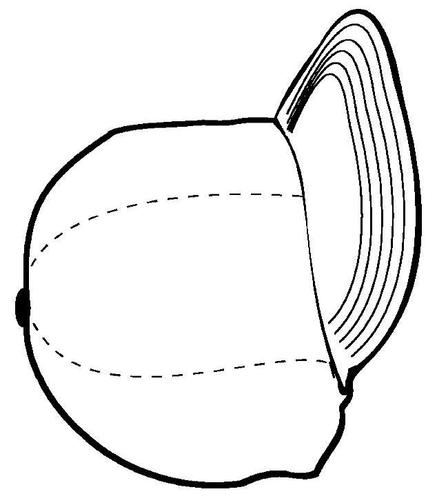Baseball Hat Template Baseball Hat Template