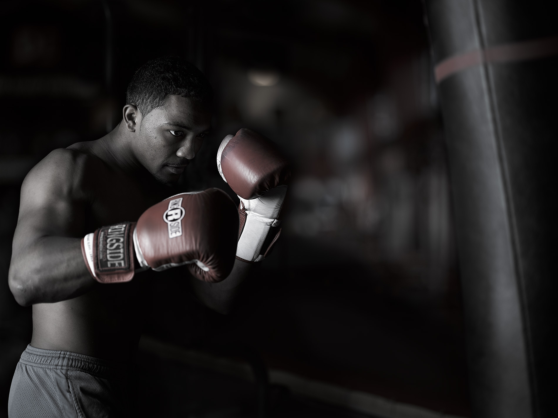 Boxer Portrait Photography