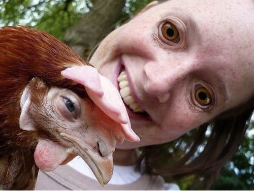 Chicken and Girl Face Swap