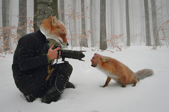 Creepy Animal Face Swap