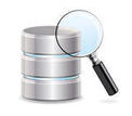 Database Search Icon