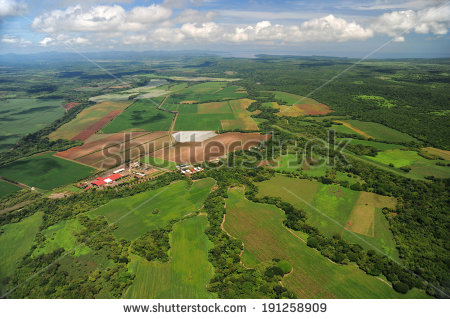 Farm Fields Aerial View