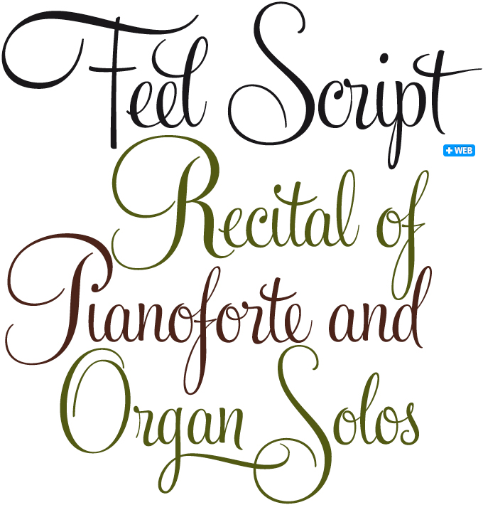 Feel Script Font Feel Script Font