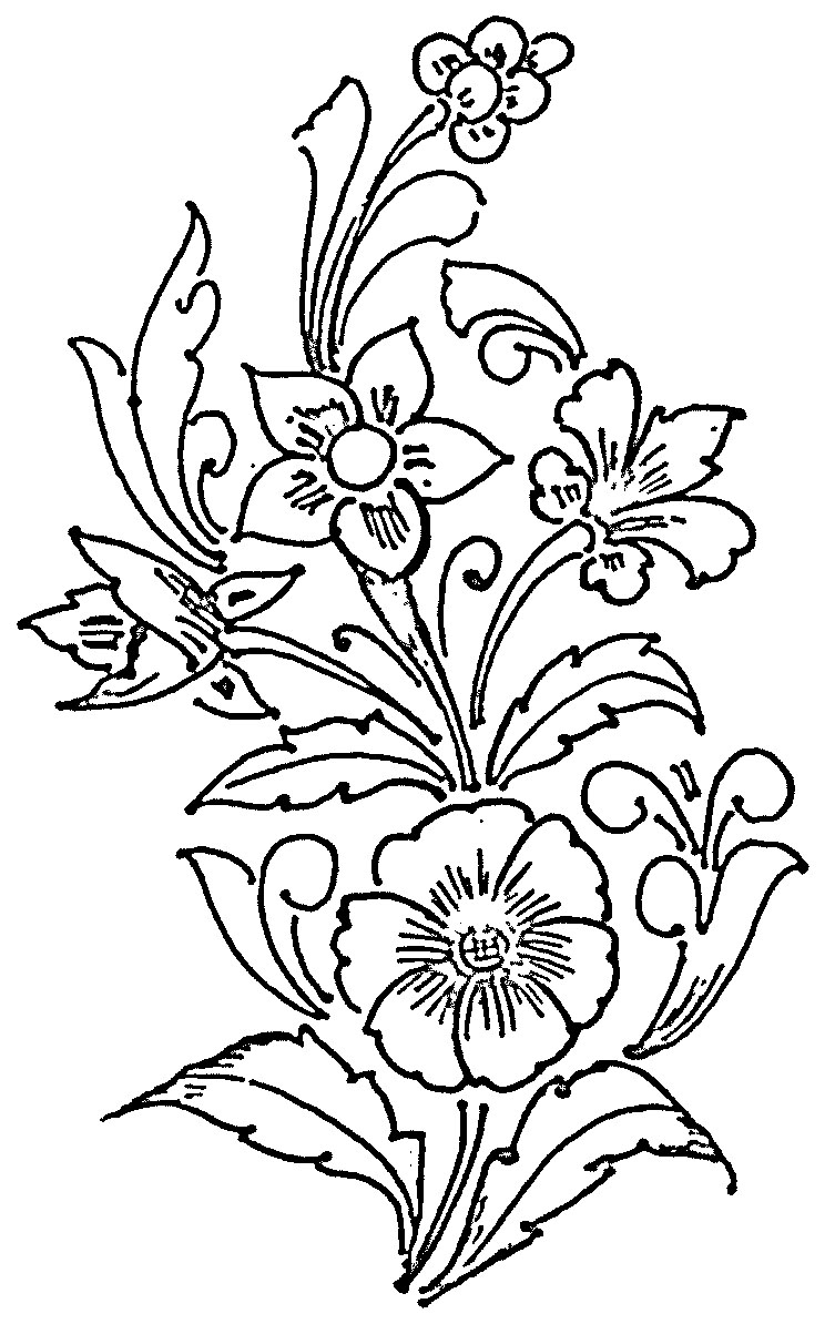 Flower Patterns and Designs