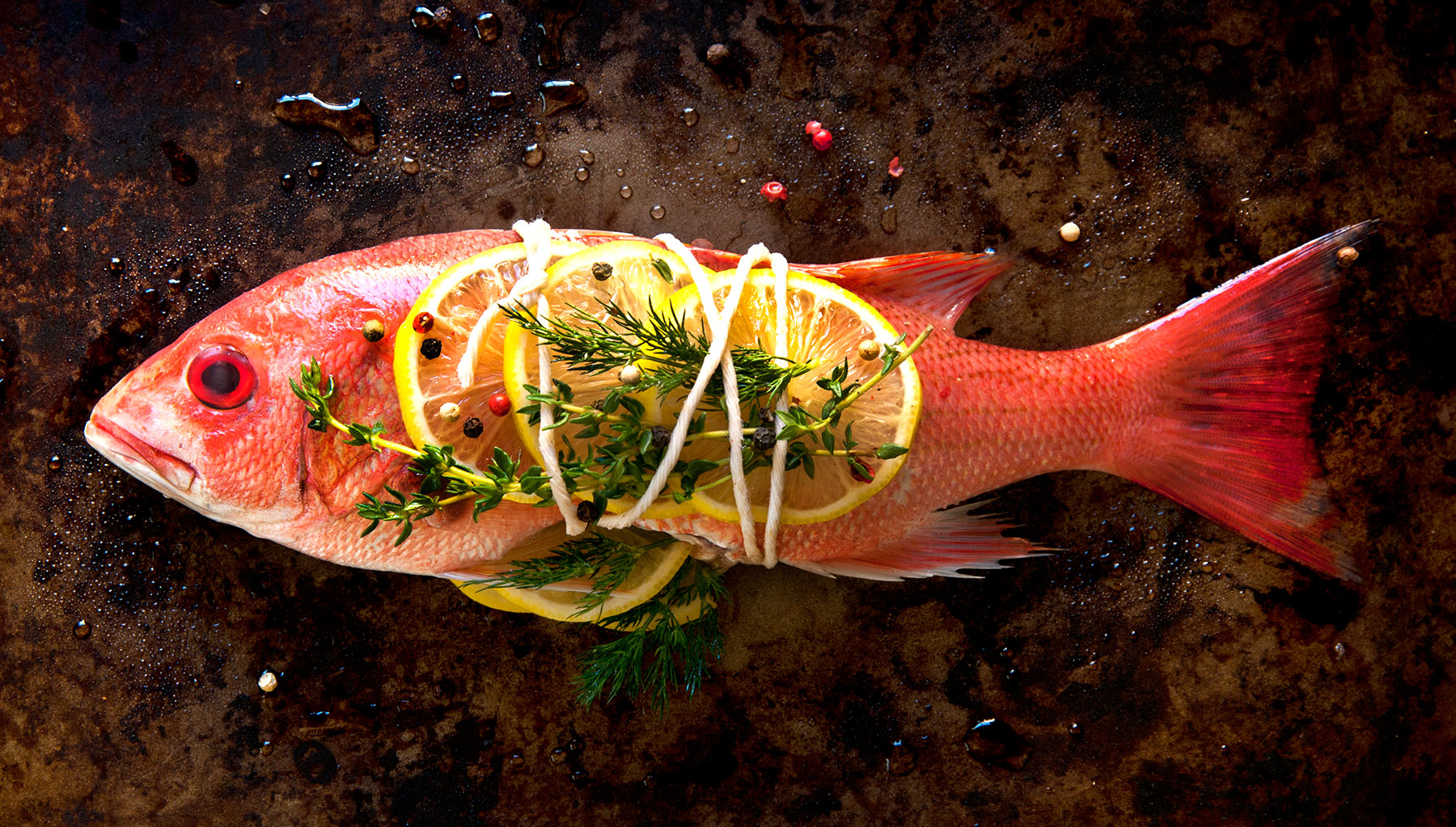 Food Photography Fish