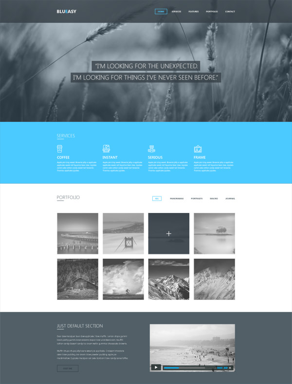 Free PSD Website Template