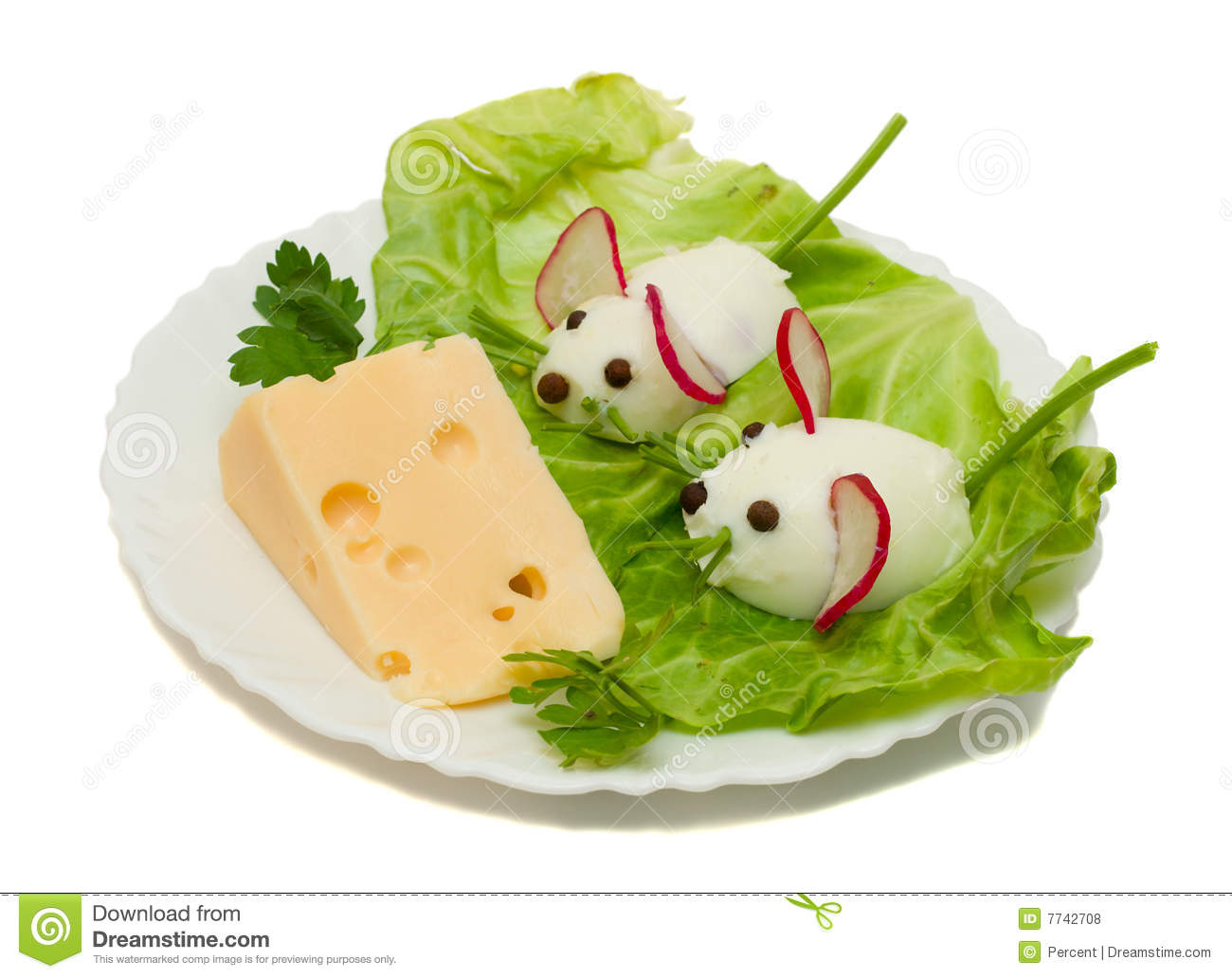 Funny Mouse Cheese