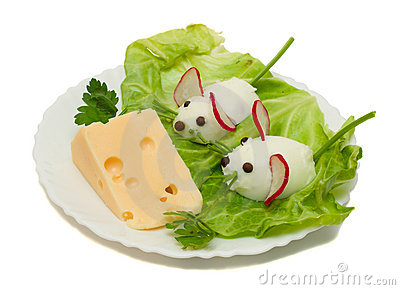 Funny Mouse with Cheese