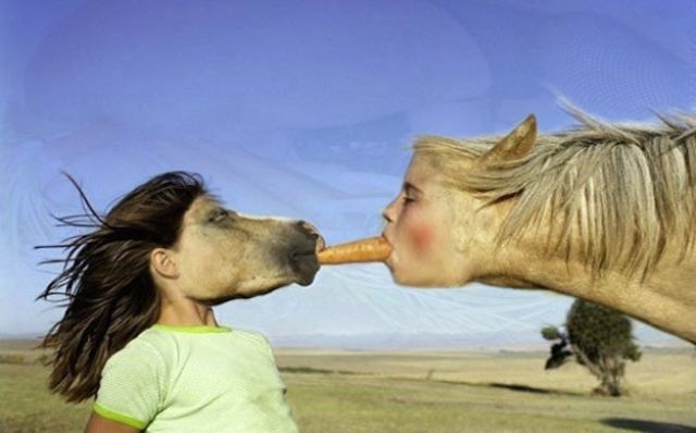 Girl Horse Face Swap