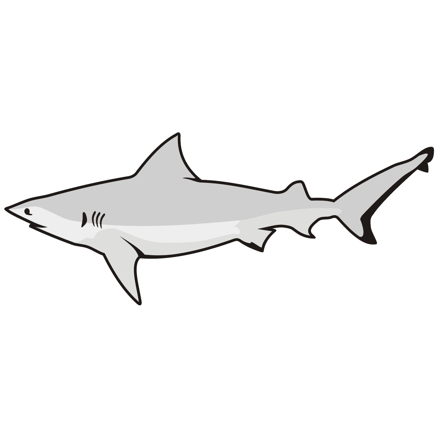 Great White Shark Vector