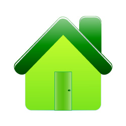 Green Home Icon