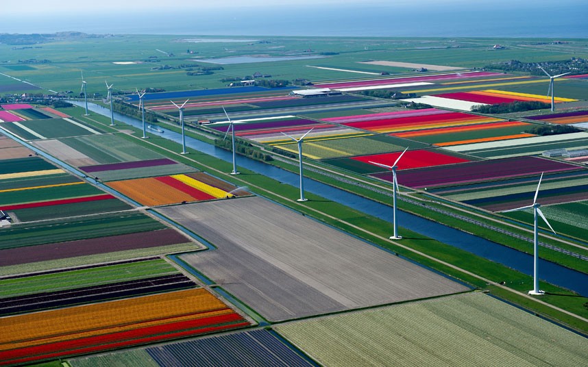 Holland Tulip Fields