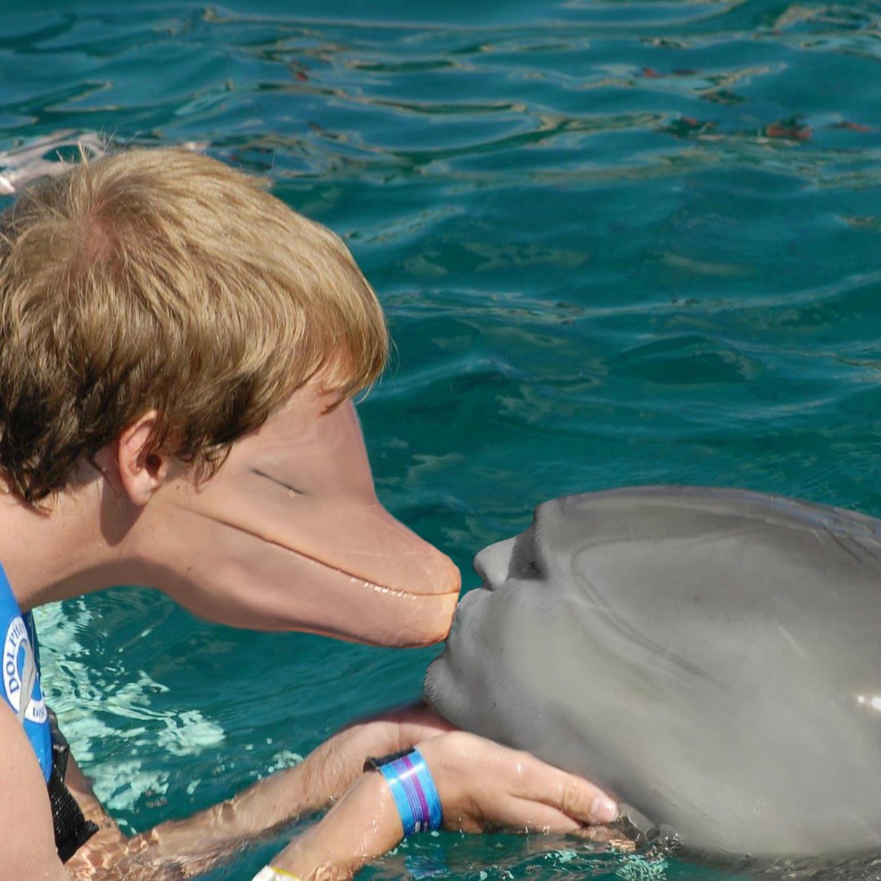 Human-Dolphin Face Swap