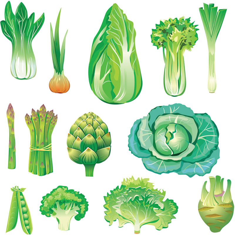 Name All Green Vegetables