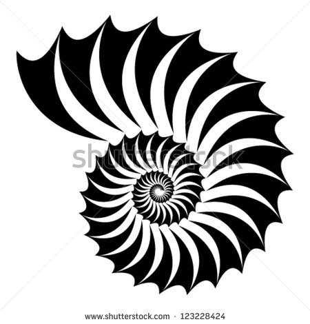 Nautilus Shell Silhouette Nautilus Shell Silhouette