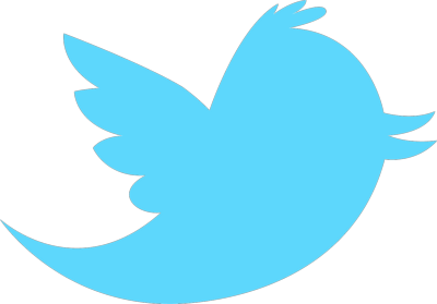 Official Twitter Logo