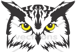 Owl-Vector-Illustration
