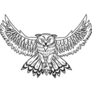 Owl Vector Logo