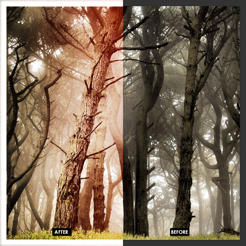 Photography Vintage Filter Photoshop Photography Vintage Filter Photoshop