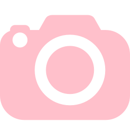 Pink Camera Icon Clip Art