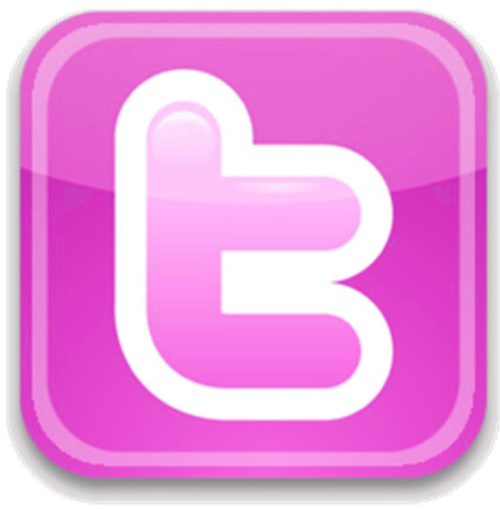 Pink Twitter Logo