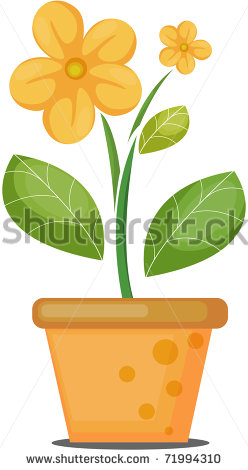 Plant Growing in Flower Pot