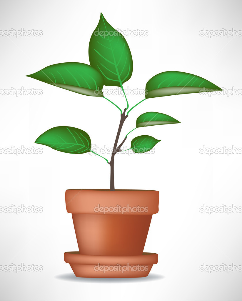 Plant Growing in Pot Clip Art