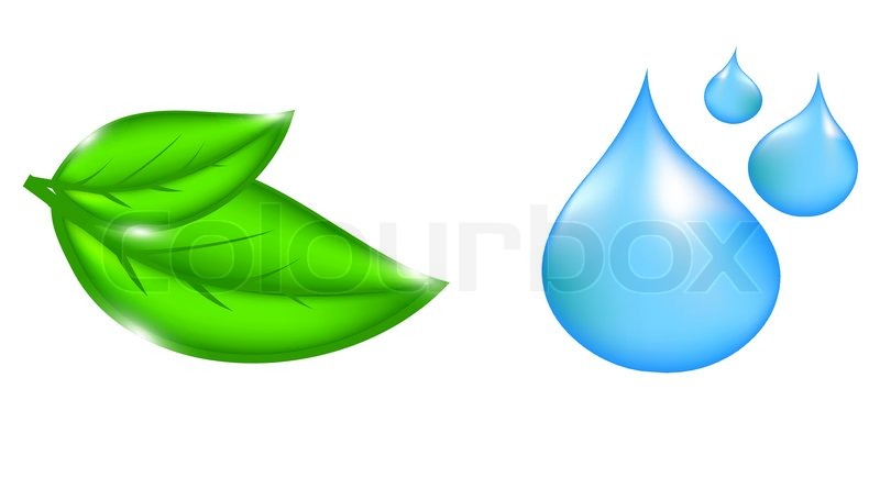 Plant with Water Drop Icon Plant with Water Drop Icon