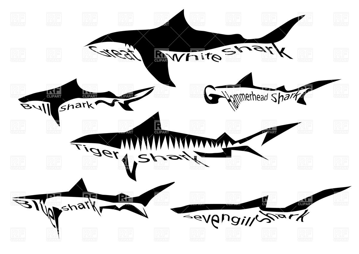 Shark Silhouette Clip Art