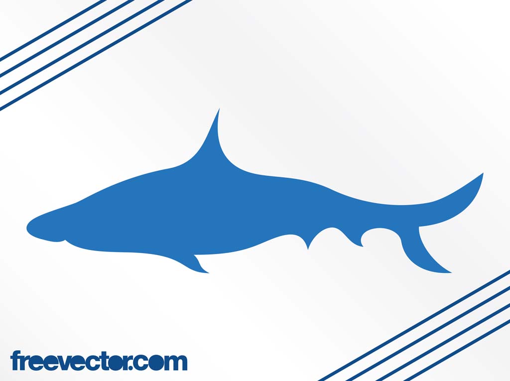 Shark Silhouette Vector