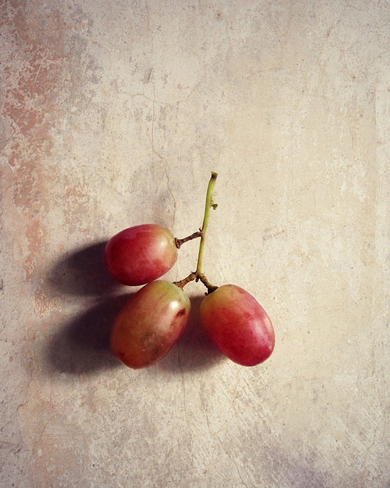 Simple Still Life Photography