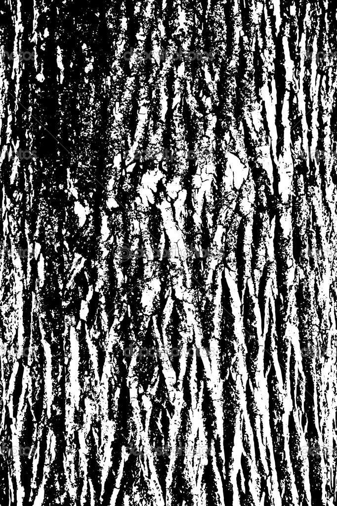 Tree Bark Pattern Vector