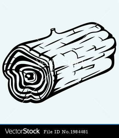 Tree Trunk Section Vector