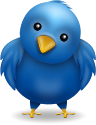 Twitter Bird Logo