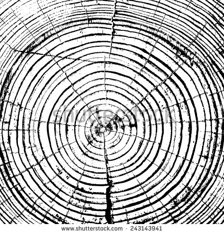 Vector of Tree Trunk Rings