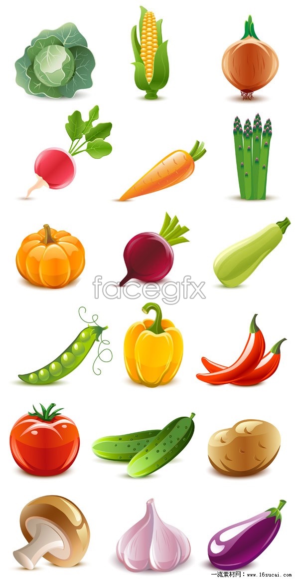 Vegetable Vector Graphic of Food