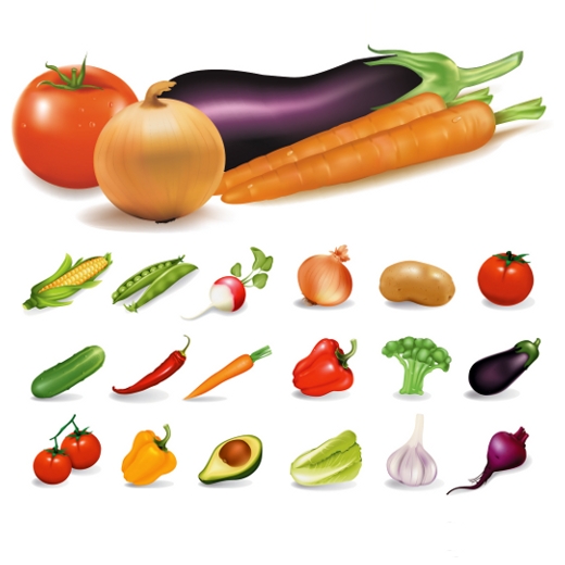 Vegetable Vector Vegetable Vector