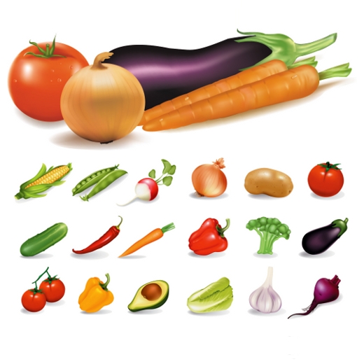 Vegetable Vector