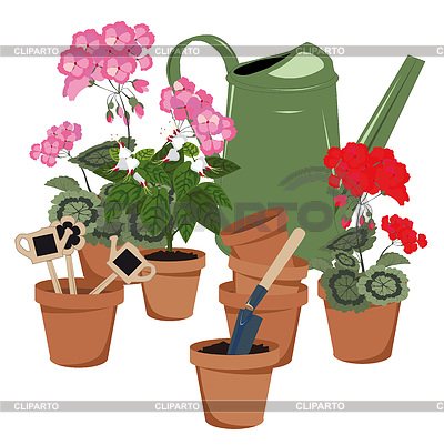 Watering Can Potted Flowers Watering Can Potted Flowers