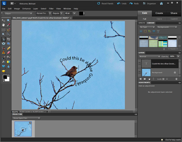 Adobe Photoshop Elements 14