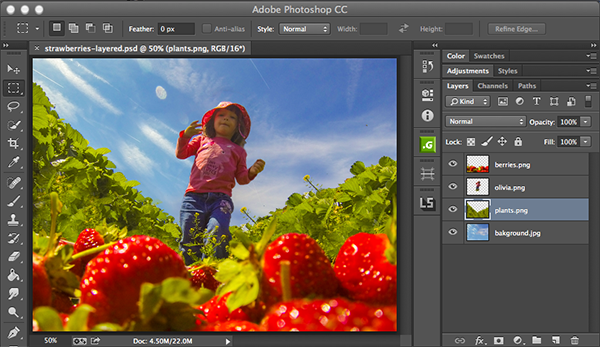 Adobe Photoshop Layers