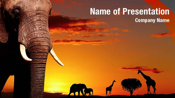 African Animal Theme PowerPoint Templates