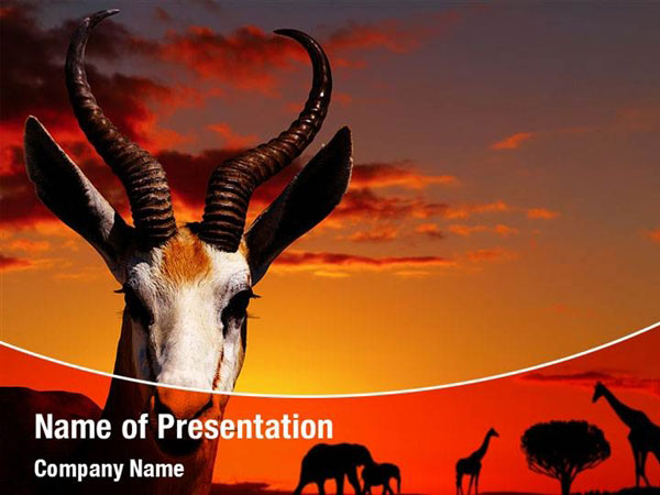 African Animal Theme PowerPoint Templates