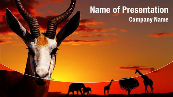 African Savanna PowerPoint Templates