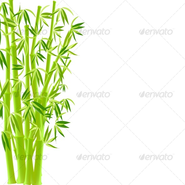 Bamboo Vector Illustration