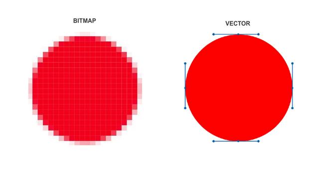 Bitmap vs Vector