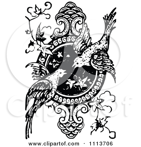 Black and White Bird Designs