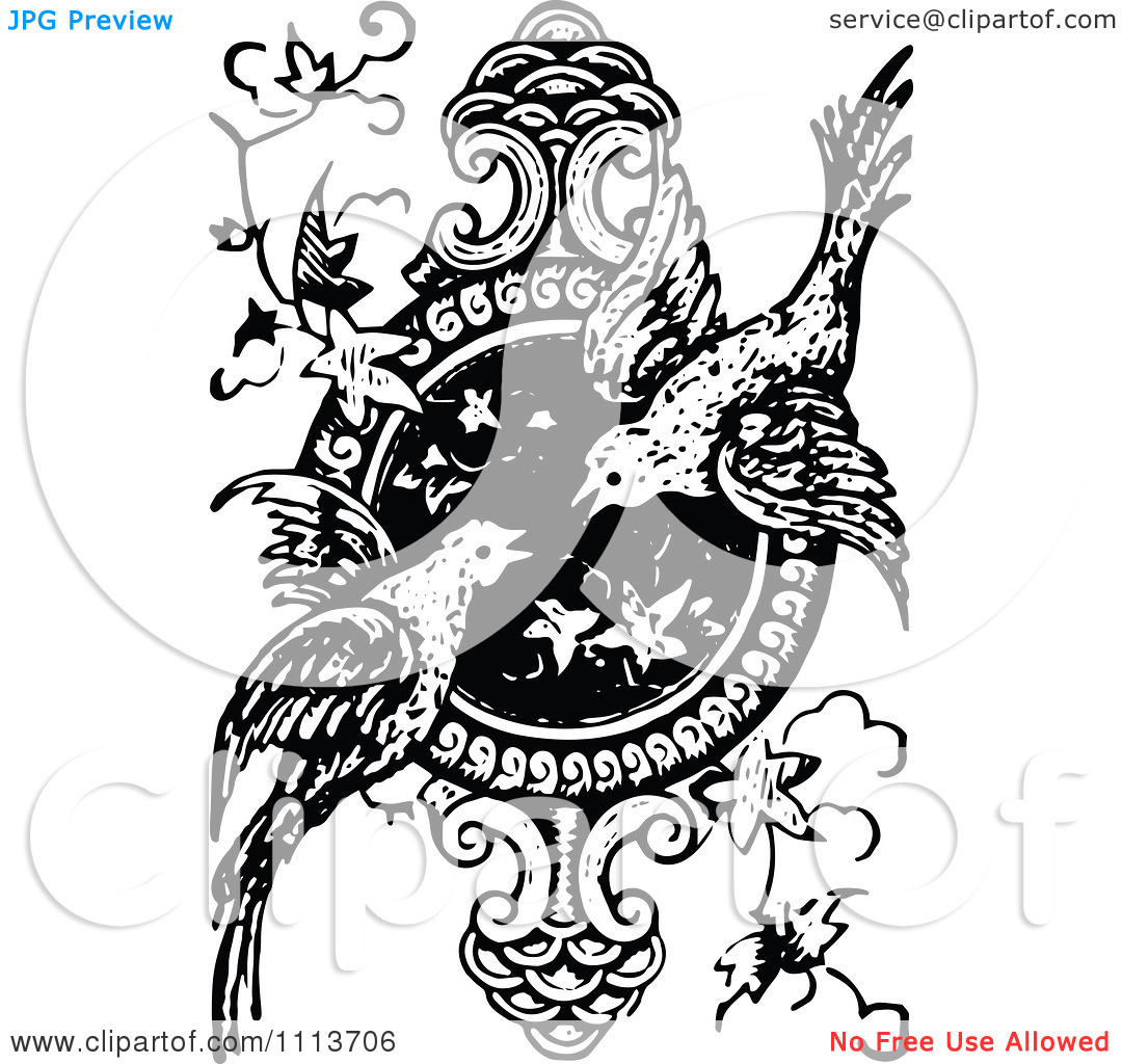 Black and White Bird Designs