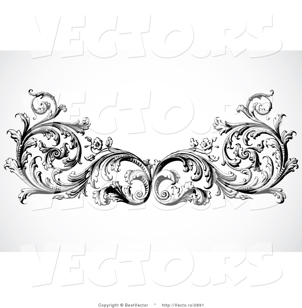 Black and White Border Designs